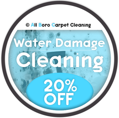All Boro Carpet Cleaning - Water Damage Cleaning