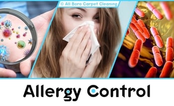 Allergy Control - Manhattan