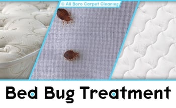 Bed Bug Treatment - Manhattan