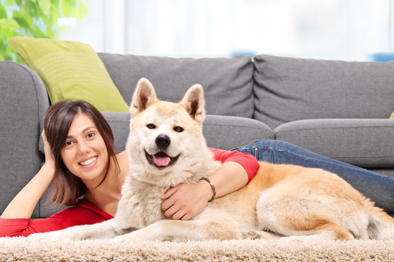 Pet Stain and Odor Removal - Manhattan