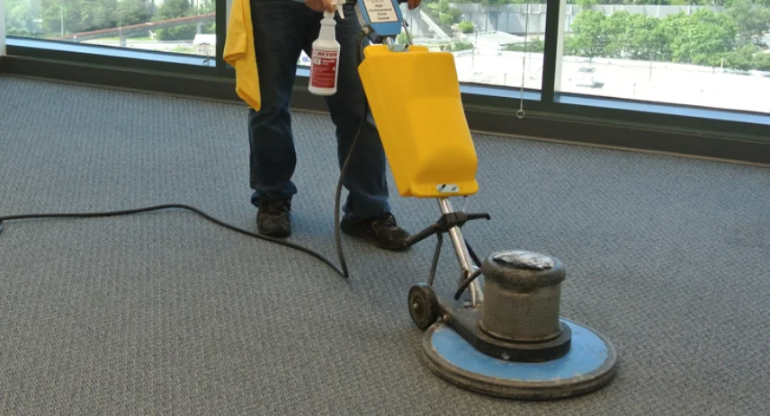 Detailed Carpet Cleaning at Home A Guide to Refreshing Your Floors